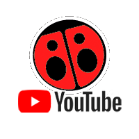 Carolina Youtube